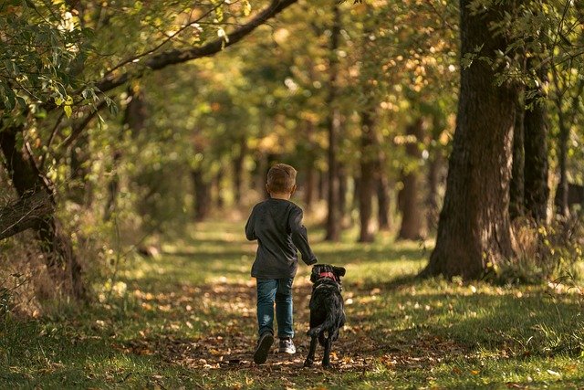 puppy training Denver