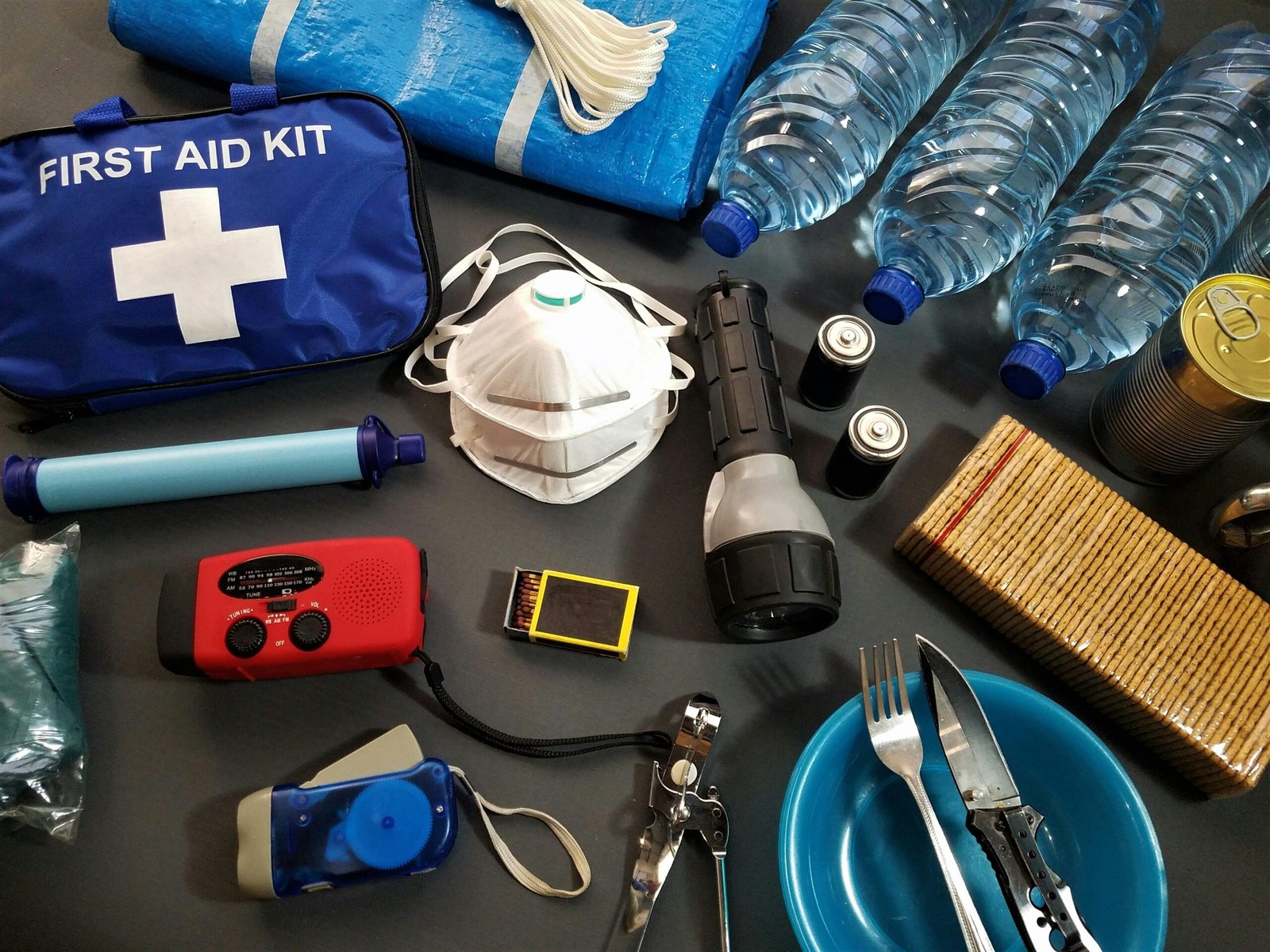 pet emergency kit