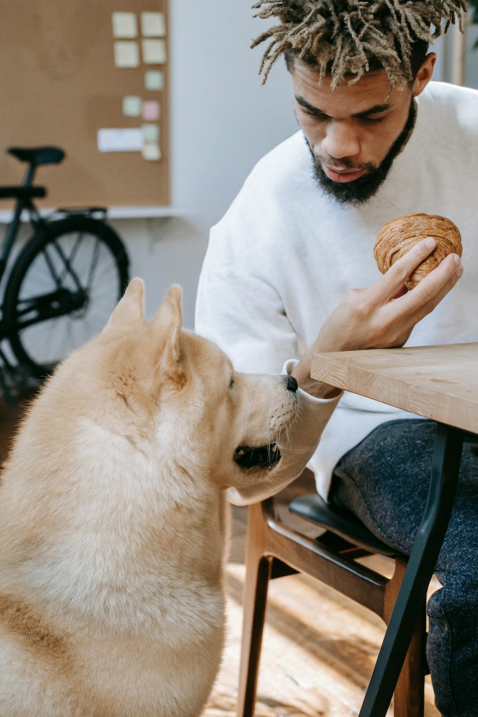 veterinarian examining a dog with allergies