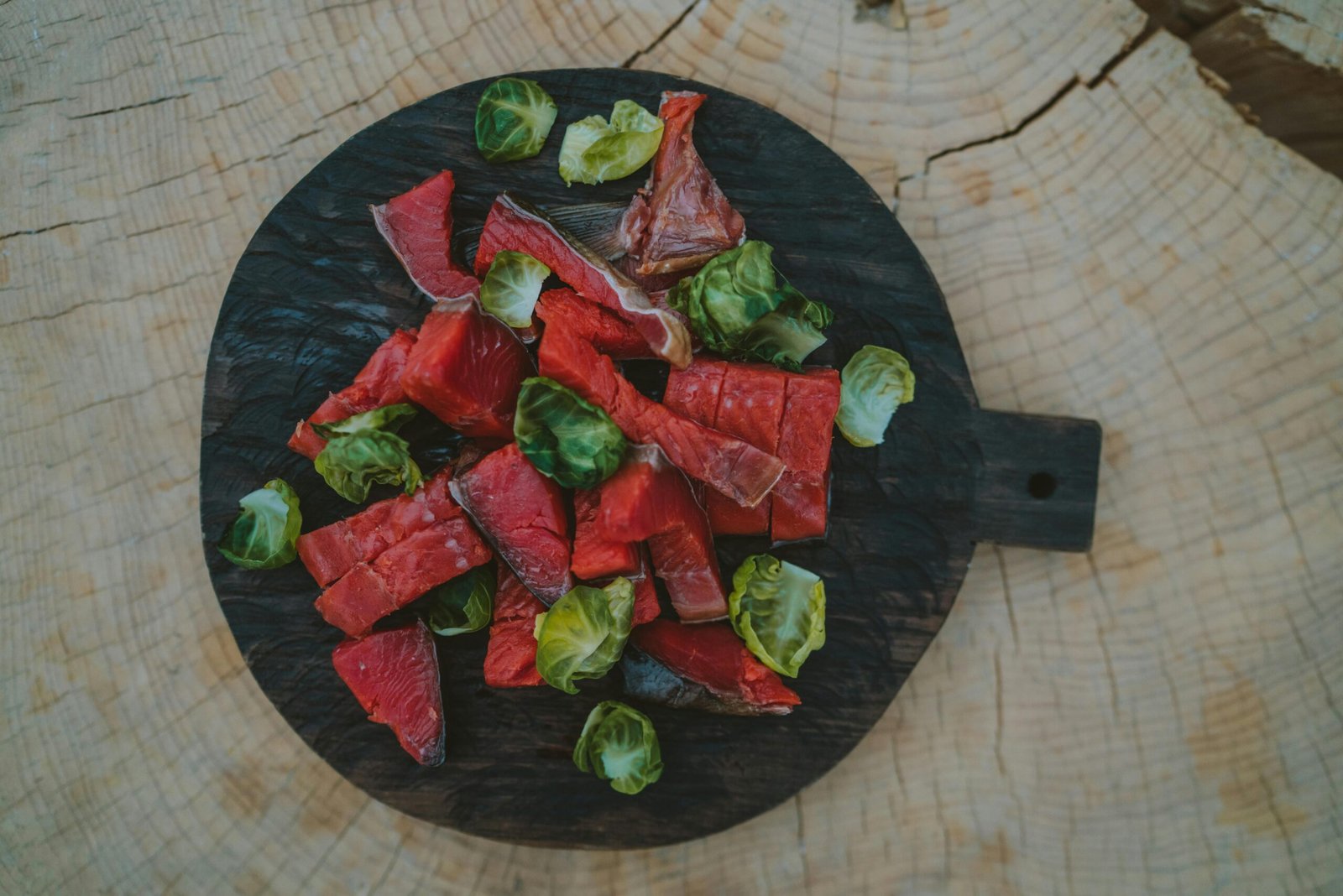 best food for dog digestion